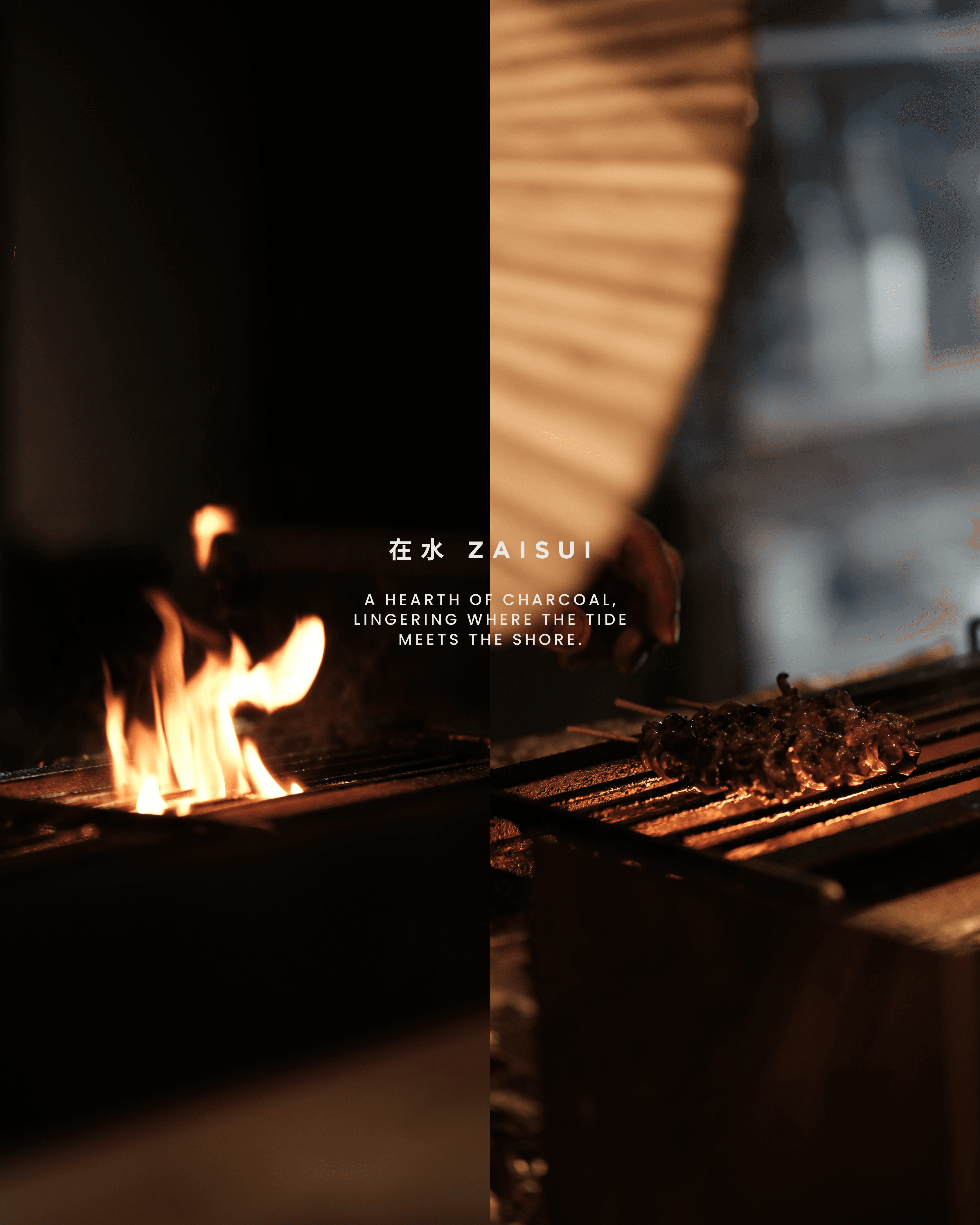 ZaiSui brand banner